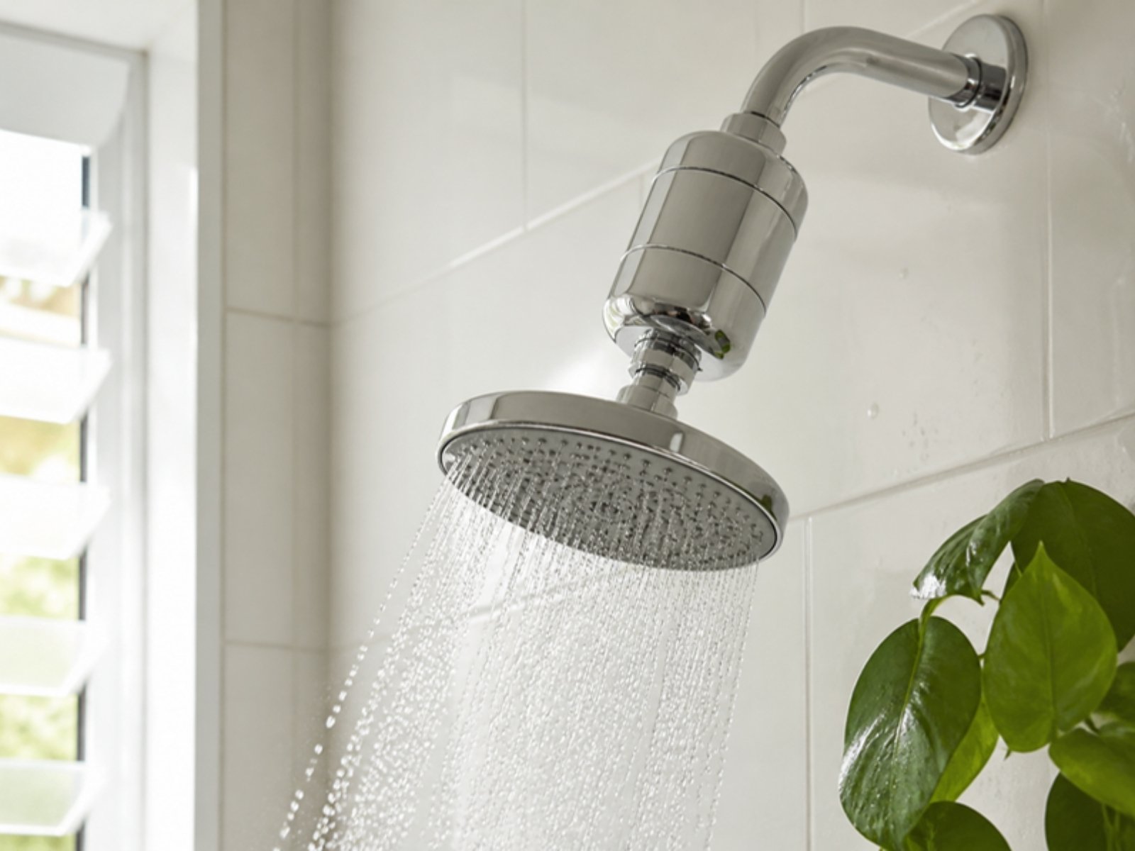 Shower head with an inline filter